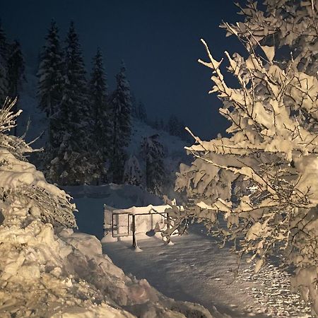 Almen-Kraeuter-Oberreiter Lejlighed Dellach im Drautal Eksteriør billede